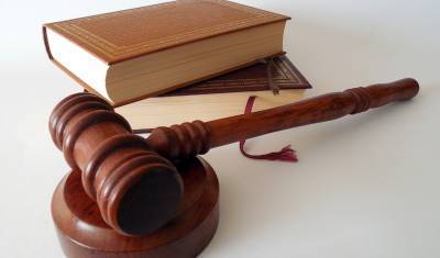 Суд признал неправомерным задержание Царукяна