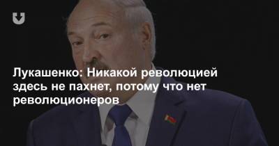 Лукашенко: Никакой революцией здесь не пахнет, потому что нет революционеров