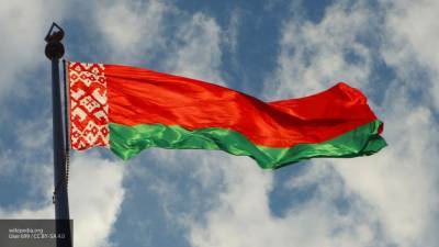 Руководство Белоруссии считает инфекцию COVID-19 политической ширмой