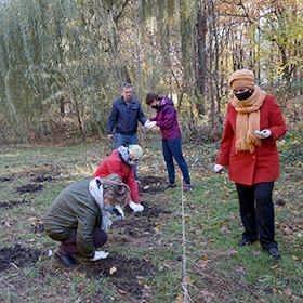 В таганрогской роще Дубки высадили желуди деревьев-долгожителей