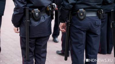 Беременную свердловчанку объявили в федеральный розыск за насилие над двумя полицейскими (ФОТО)