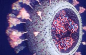 Ученые создали самую точную 3D-модель коронавируса