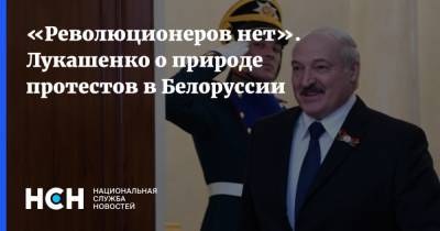 «Революционеров нет». Лукашенко о природе протестов в Белоруссии