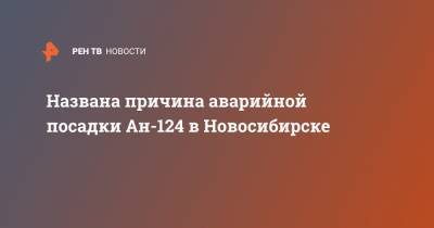 Названа причина аварийной посадки Ан-124 в Новосибирске