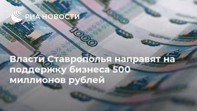 Власти Ставрополья направят на поддержку бизнеса 500 миллионов рублей