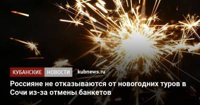 Россияне не отказываются от новогодних туров в Сочи из-за отмены банкетов