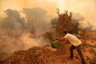 Пожары уничтожили 29% крупнейшего болота в мире