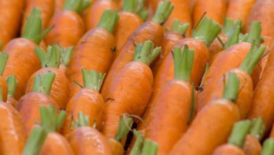 В Тверской области дорожают рыба и морковь, а дешевеют яблоки
