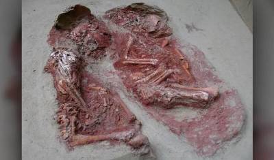 Ирина Зиганшина - Самые древние в мире близнецы обнаружены на берегу Дуная - newizv.ru - Вена