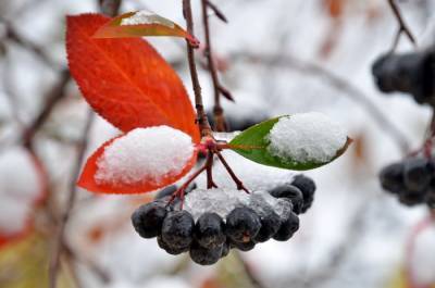 Первый снег и морозы: синоптики предупредили жителей Луганщины о похолодании