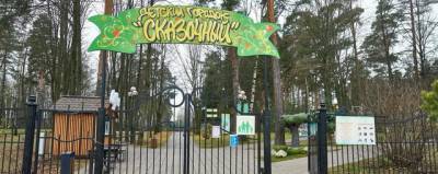 В красногорском парке «Сказочный» высадили 16 кустов можжевельника