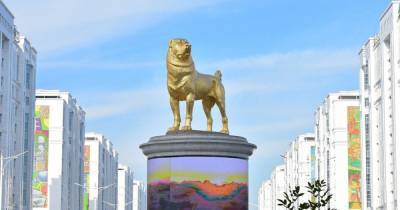 Президент Туркменистана открыл гигантскую золотую статую алабая