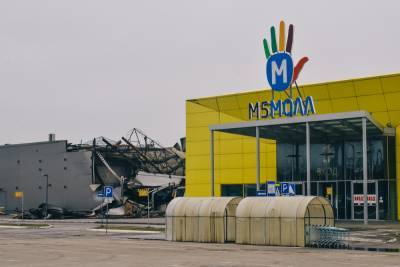 Любимов поручил помочь пострадавшим от пожара в «М5 Молл» бизнесменам