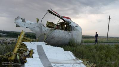 Юрист оценил шансы установления истины в деле MH17