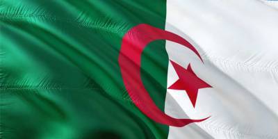 Алжирцы поддержали поправки в конституцию