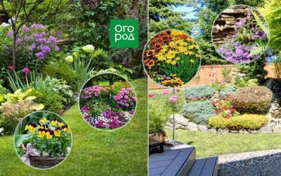 Идеальные цветовые решения для вашего сада