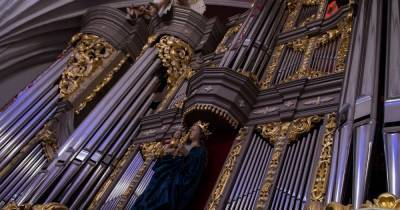 "Беседы за роялем" и ночной концерт: как в калининградском Кафедральном соборе пройдёт День философии