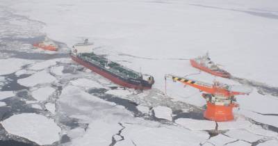 Лукойл губит Арктику: Росприроднадзор выявил новые нарушения на предприятиях компании