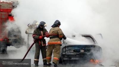 Водитель и пассажир ВАЗа заживо сгорели после ДТП под Воронежем