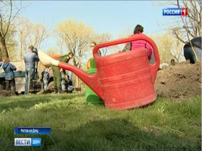 В Таганроге в память о погибших в годы ВОВ высадили 27 молодых кленов