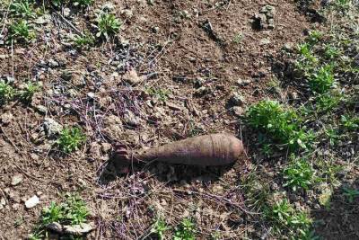 В деревне в Тверской области нашли семь взрывоопасных снарядов
