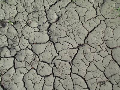 Бездумное расходование воды в условиях засух на Дону подвело малые реки региона к катастрофе