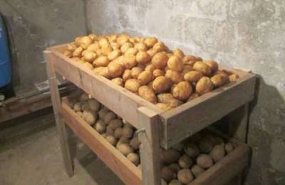 5 ошибок хранения, из-за которых запасы картофеля быстро портятся