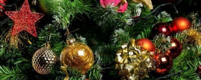 В Центральном районе Красноярска установят три новогодние елки