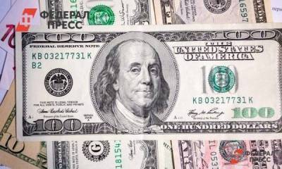 Чем заменить доллар? Отвечает экономист