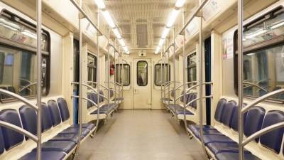 «Я тебе отомщу!» — в Петербурге пассажирки устроили драку в вагоне метро