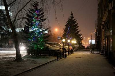 Морозы до -20 градусов придут в Новосибирск на неделе