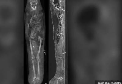 Ученые разгадали тайну мумий, найденных в 1615 году
