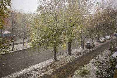 Треть месячной нормы снега выпала за день в Новосибирской области