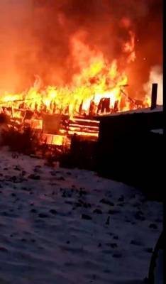 В Сети появилось видео с места пожара в Кемерове, где погибли девять лошадей
