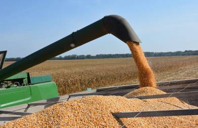 Украина намолотила более 75 млн т зерна