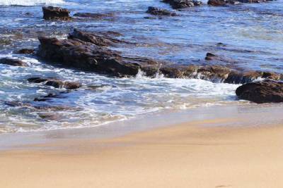 На побережье Австралии обнаружили загадочное существо (фото)