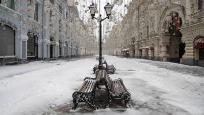 Синоптики рассказали москвичам, когда в городе ляжет снег