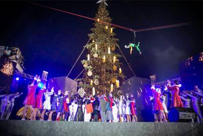 К Новому году мэрия Тбилиси обновит итальянскую елку за миллион лари