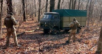 На границе с РФ застрял грузовик с контрабандной красной икрой с Камчатки на 1 млн грн (видео)