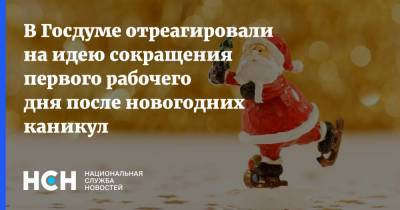 В Госдуме отреагировали на идею сокращения первого рабочего дня после новогодних каникул