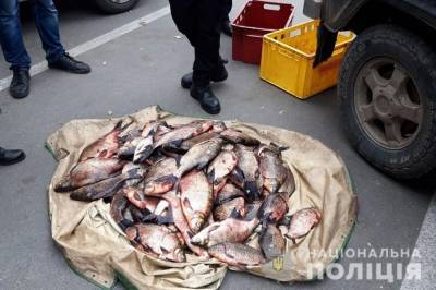 В Черниговской области сотрудников рыбохраны разоблачили на браконьерстве
