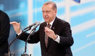 След Эрдогана на улицах Европы