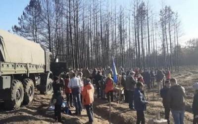 В Луганской области на месте пожаров волонтеры высадили более 10 тыс. деревьев
