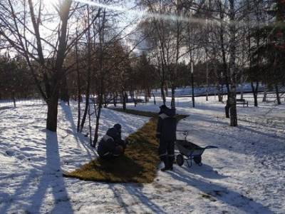 Уфимцы засняли, как рабочие укладывают рулонный газон на снег