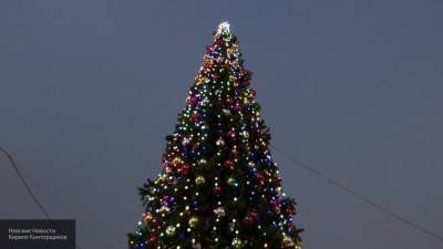 Новогодние елки в Москве оказались под угрозой срыва из-за падения спроса