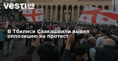В Тбилиси Саакашвили вывел оппозицию на протест