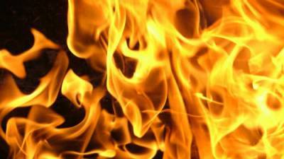 На пожаре в Одесской области угорели двое селян