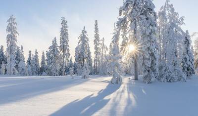 «Мороз и солнце – день чудесный»: синоптики рассказали о погоде на начало недели