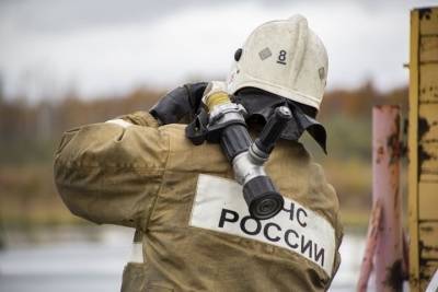 Соседи спасли трех детей из горящего дома в Новосибирске