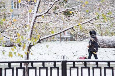 Синоптик призвал не ждать снега в центре европейской части РФ в ближайшее время